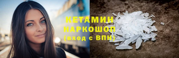 хмурый Верея