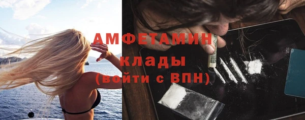 хмурый Верея