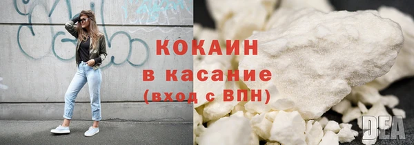 хмурый Верея