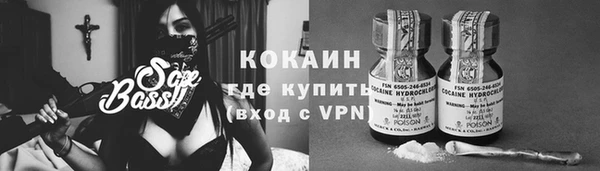 хмурый Верея