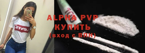 хмурый Верея