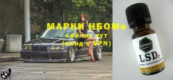 хмурый Верея