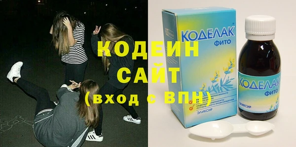 хмурый Верея