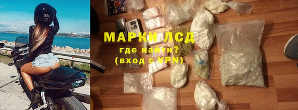 хмурый Верея