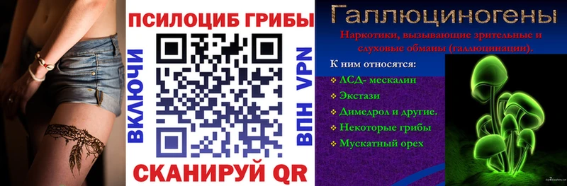 Купить где  Сызрань  Псилоцибиновые грибы Psilocybe 